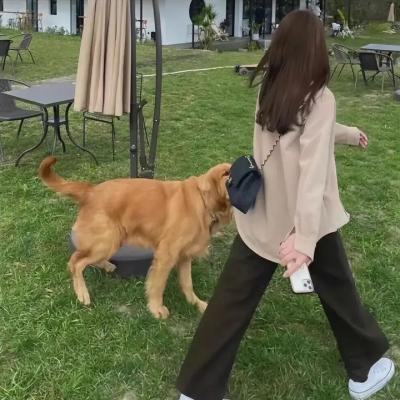 拳击手的救赎