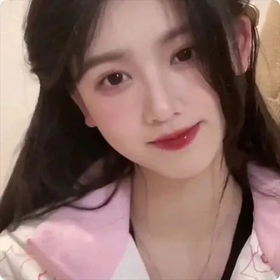 完美现在时
